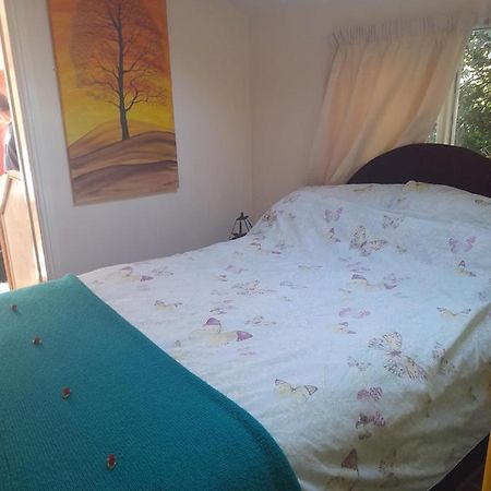 Janet Hale Studios, Garden Apartment Glastonbury Kültér fotó