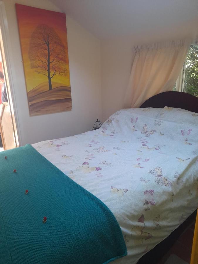 Janet Hale Studios, Garden Apartment Glastonbury Kültér fotó