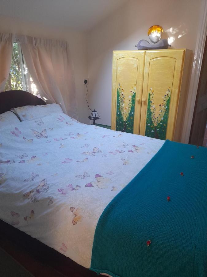 Janet Hale Studios, Garden Apartment Glastonbury Kültér fotó
